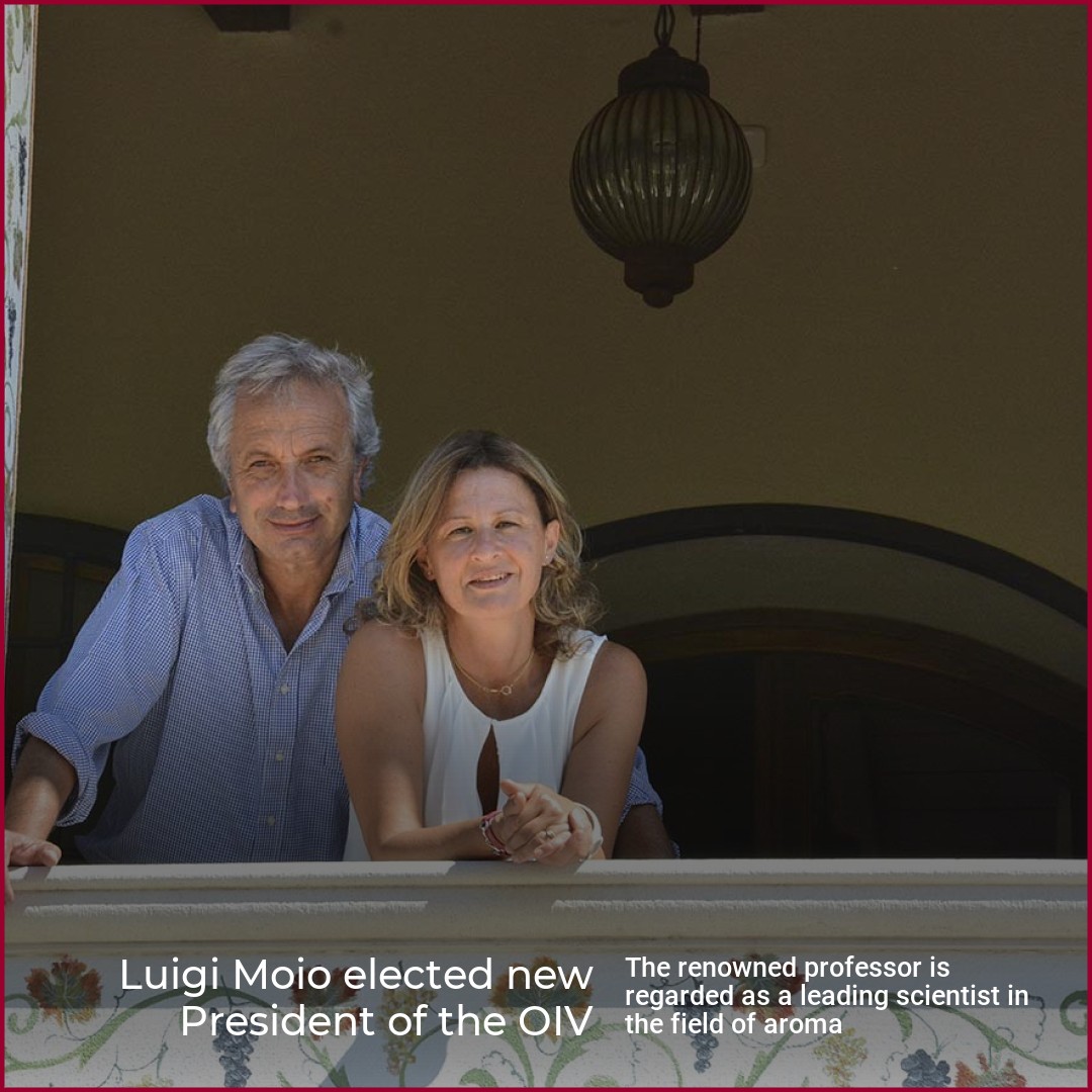 Luigi Moio elected new President of the OIV