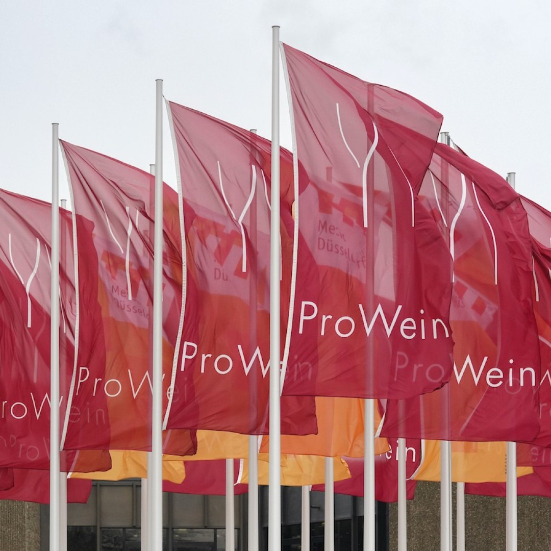 ProWein 2024 Focuses On Trend Themes Wein Plus Wine News   5743