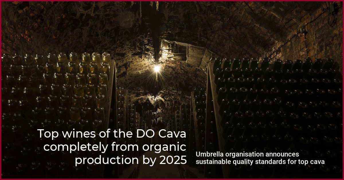 Top wines of the DO Cava completely from organic production by 2025