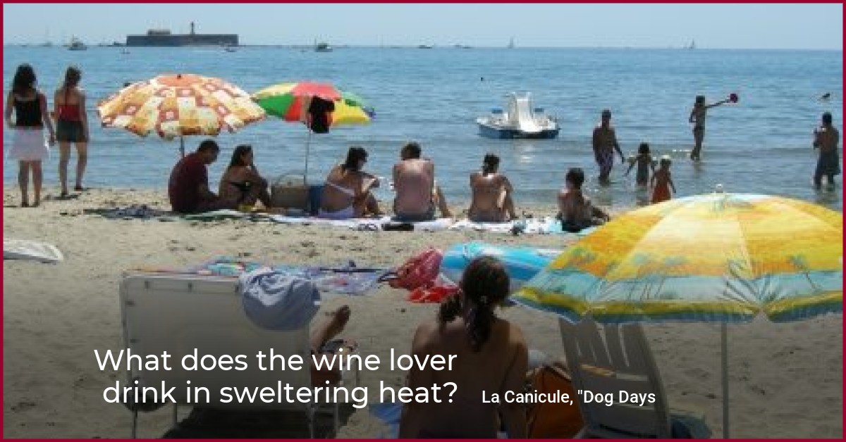 What does the wine lover drink in sweltering heat? wein.plus Wine